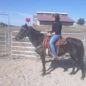 Meet your Posher, Tammy jo